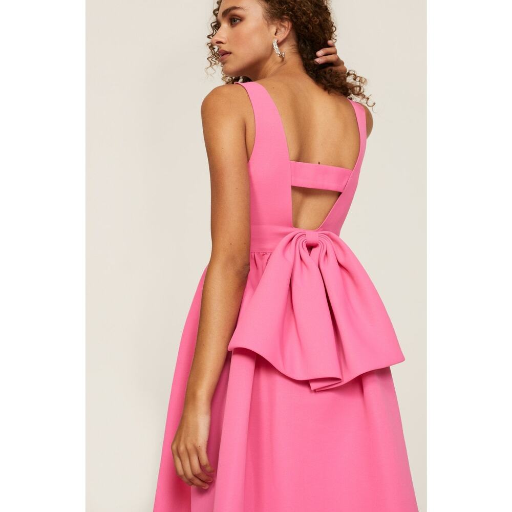 Sachin & Babi Katrina Pink Sleeveless V-Neck Bow Back Formal Gown Size 0 - Picture 4 of 16